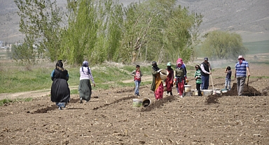 Mevsimlik tarım işçileri tarlalarda rızıklarını çıkarıyor