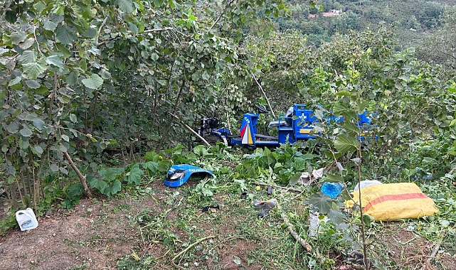 Ordu'da patpat kazası: 1 ölü, 1 ağır yaralı