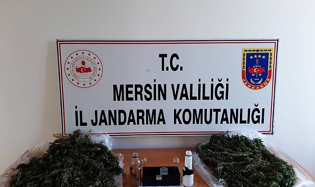 Uyuşturucu operasyonu: 2 gözaltı