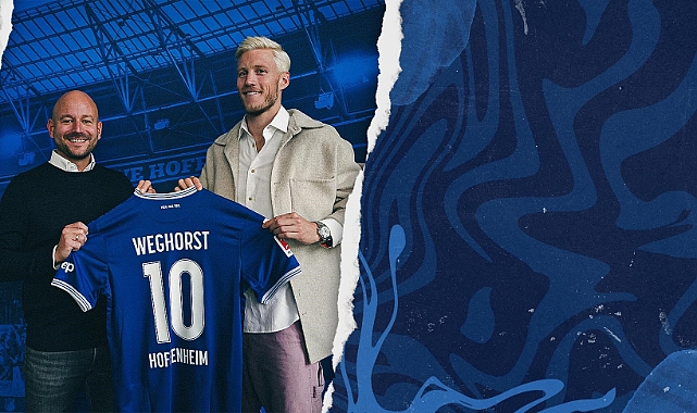 Wout Weghorst, Hoffenheim’da