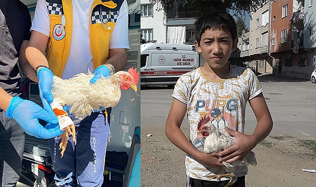 Alo acil 112 tavuğum yaralandı