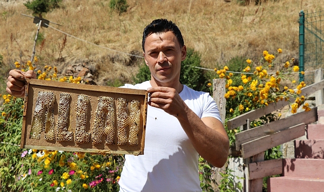 Arılara yazmayı öğreten adam!