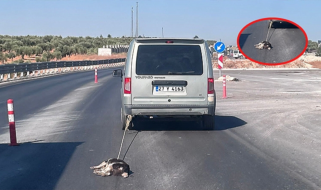 Köpeği aracına bağlayıp sürükledi