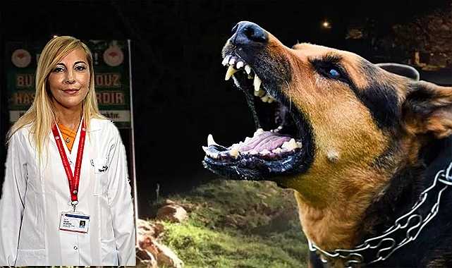 Kuduz hastalığında ilk yapılması gerekenler