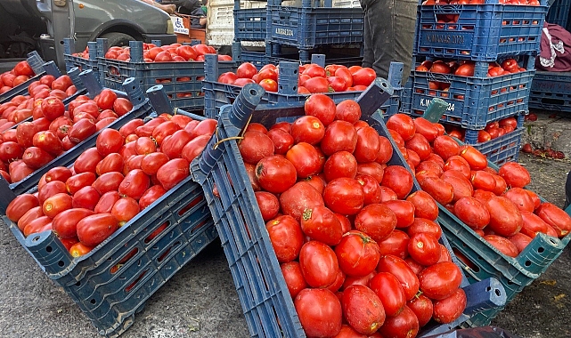 Salçalık domates ve biberler tezgahlarda