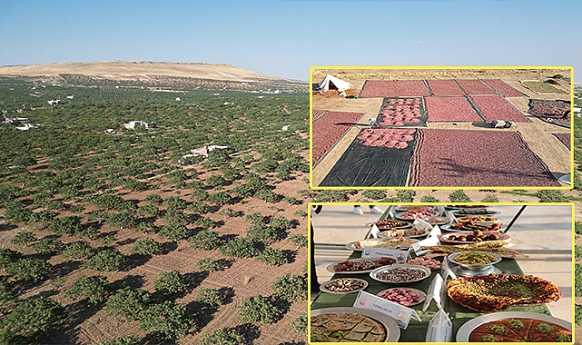 Şanlıurfa’da yemeklerde fıstık ile isot şöleni