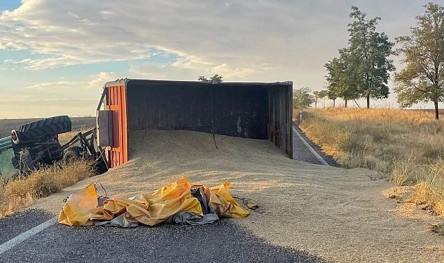 Traktör devrildi, römorktaki arpa yola saçıldı