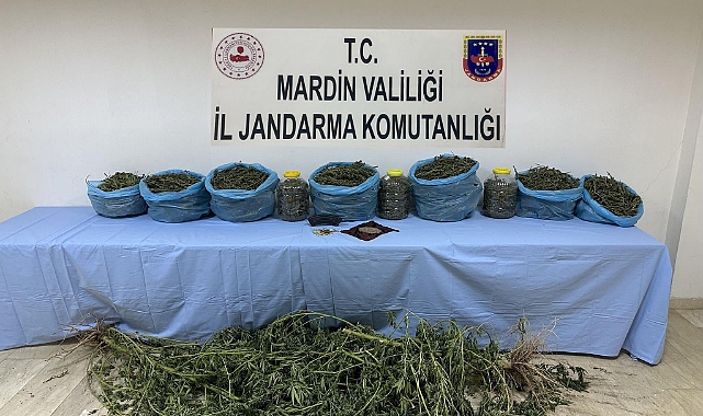 Uyuşturucu operasyonunda 1 tutuklama