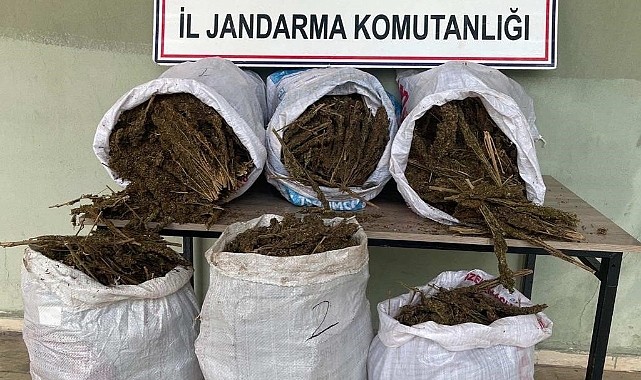 Uyuşturucu operasyonunda kilolarca esrar ele geçirildi