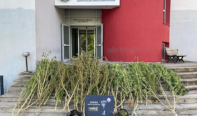 Adana’da torbacı operasyonu