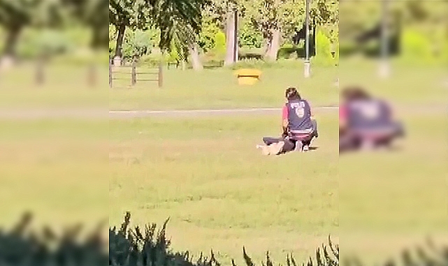 Cam silme bahanesiyle sürücüleri taciz eden 196 kişi yakalandı