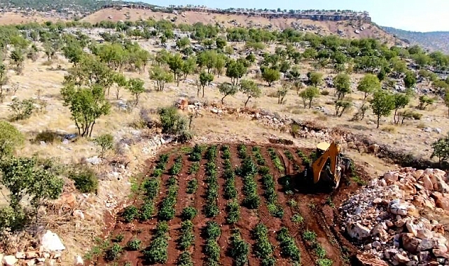 Diyarbakır'da uyuşturucu tacirlerine ağır darbe
