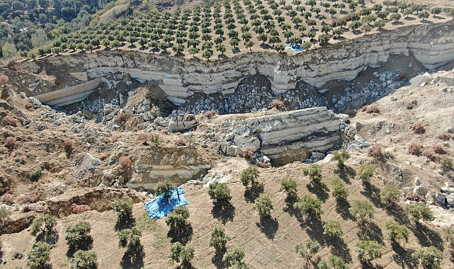 Fay hattının ortadan ikiye ayırdığı bahçede tedirgin eden hasat başladı