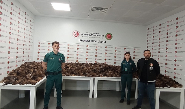İstanbul Havalimanı’nda milyonlarca TL değerinde tilki kuyruğu yakalandı