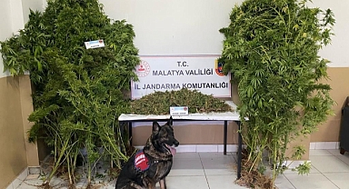Jandarmadan uyuşturucu operasyonu: 2 tutuklama