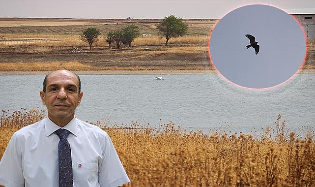 Kuraklık nedeniyle bu türler tehdit altında