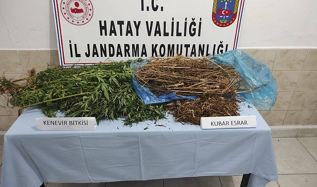 Ormanlık alanda uyuşturucu ele geçirildi