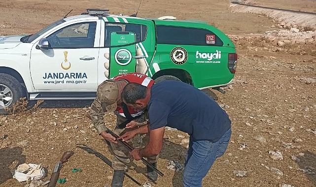 Şanlıurfa'da kaçak avcılara 57 bin lira ceza