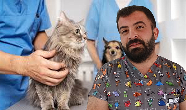 Uzmanından evcil hayvan bakım önerileri
