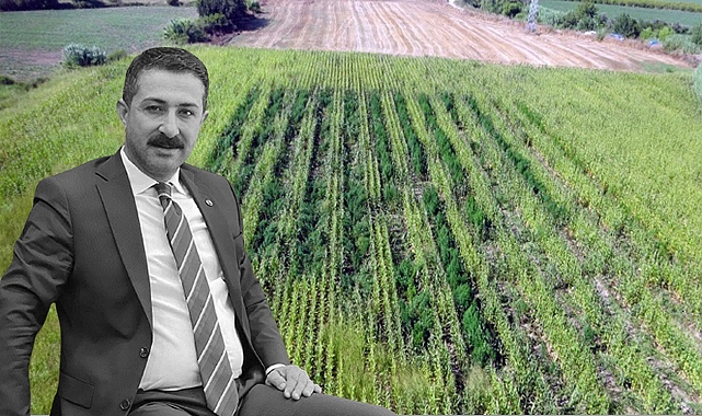 Viranşehir'de öldürülen Ömer Yazmacı'nın firari zanlısı yakalandı