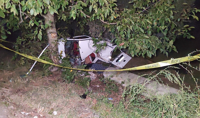 Yola fırlayan domuza çarpan araç zeytinliğe uçtu: 2 ölü