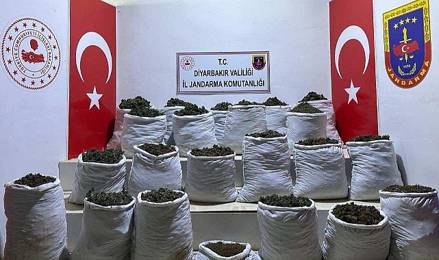 280 kilo esrar ve 244 bin 500 esrar bitkisi ele geçirildi