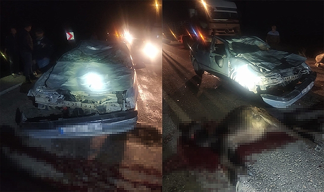 Otomobil mandalara çarptı: 2 kişi yaralandı, 3 manda telef oldu