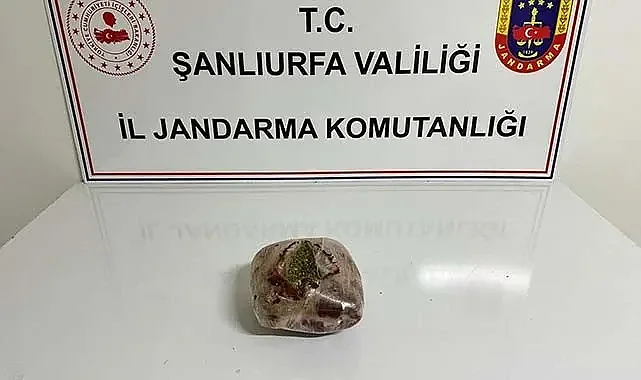 Şanlıurfa'da durdurulan otobüste uyuşturucu yakalandı
