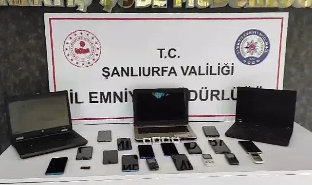 Şanlıurfa'da kaçakçılık operasyonu: Çok sayıda gözaltı