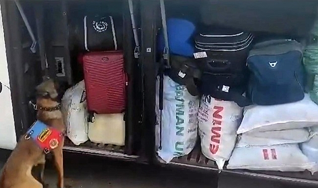Şanlıurfa'da narkotik köpeği uyuşturucu ticaretine geçit vermedi