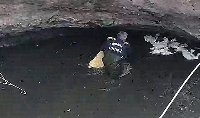Şanlıurfa'da sarnıca düşen kazlar, itfaiye tarafından kurtarıldı