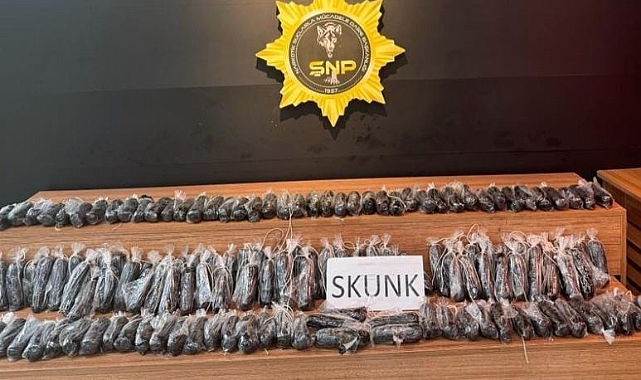 Şanlıurfa’da uyuşturucu operasyonu: 2 gözaltı
