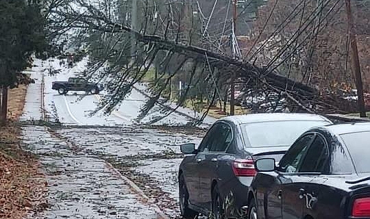 Çıkan fırtınada 3 kişi hayatını kaybetti, 600 bin kişi ise elektriksiz kaldı