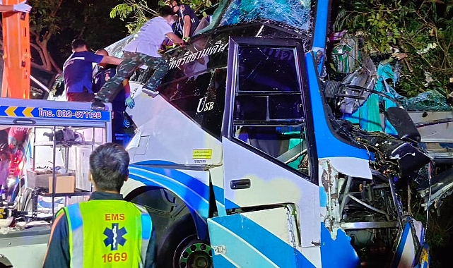 İki katlı otobüs ağaca çarptı: 14 ölü, 35 yaralı