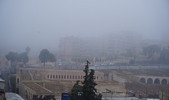 Şanlıurfa’da sis hayatı felç etti