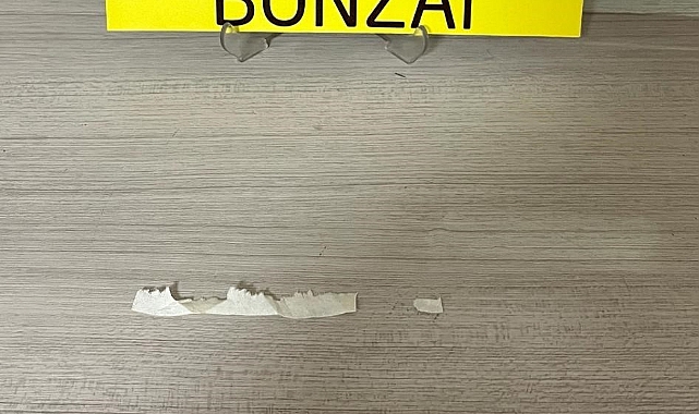 Uyuşturucu ile yakalanan 2 şüpheli gözaltına alındı