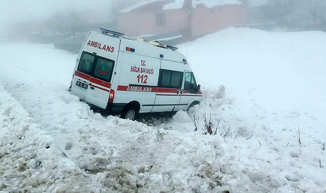 Ambulans buzlanma nedeniyle yoldan çıktı: 5 yaralı