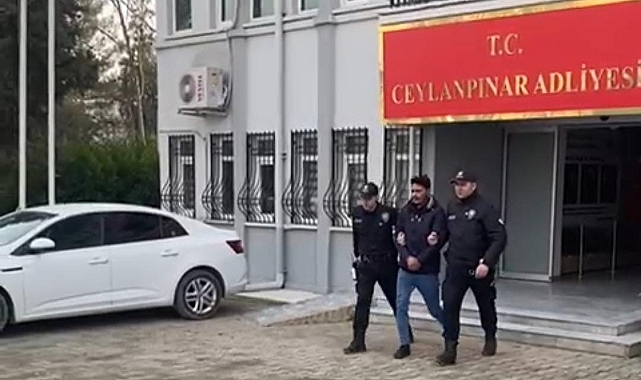 Ceylanpınar'da hakkında kesinleşmiş hapis cezası bulunan 5 şüpheli yakalandı