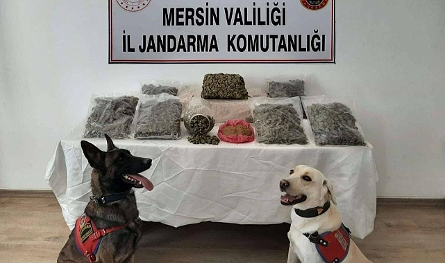 Mikrodalgadan bile uyuşturucu çıktı, 2 şüpheli tutuklandı