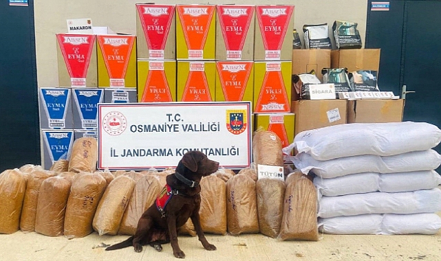 Osmaniye’de 487 kilo kaçak tütün ele geçirildi