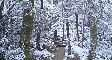 Soğuk hava dalgası: 2 günde 145 kişi öldü