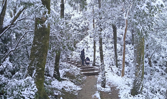Soğuk hava dalgası: 2 günde 145 kişi öldü