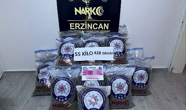 55 kilo uyuşturucu skunk ele geçirildi