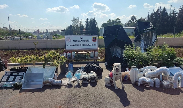 'iklimlendirme sistemli' uyuşturucu üretimine 5 gözaltı