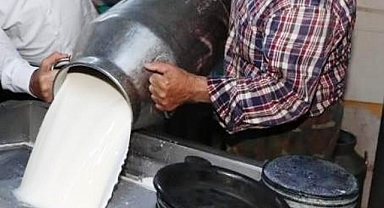 Ticari süt işletmelerince toplanan inek sütü arttı