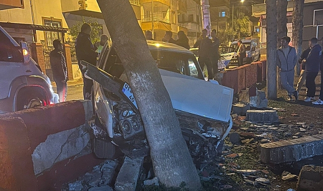 Otomobil parka girdi, ağaçlara çarparak durabildi