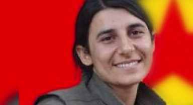 Terör örgütü PKK/KCK’nın sözde gençlik yapılanması sorumlusuna nokta operasyon