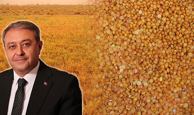 Vali Şıldak'tan kırmızı mercimek açıklaması! İlk sırada yer alıyor