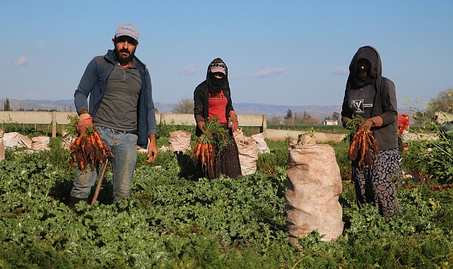 Mevsimlik işçilerini ilgilendiren karar Resmi Gazete'de