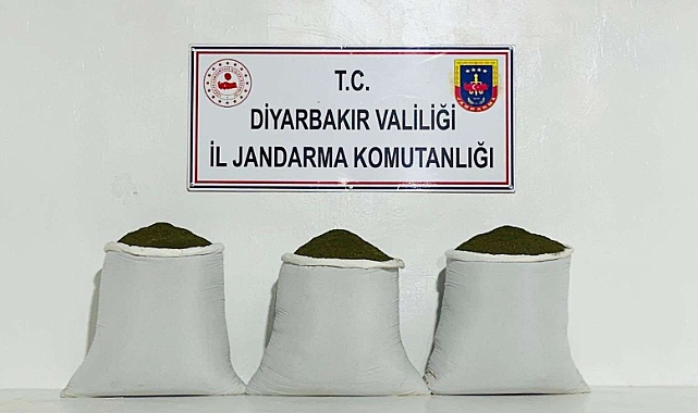 230 kilo toz esrar ele geçirildi